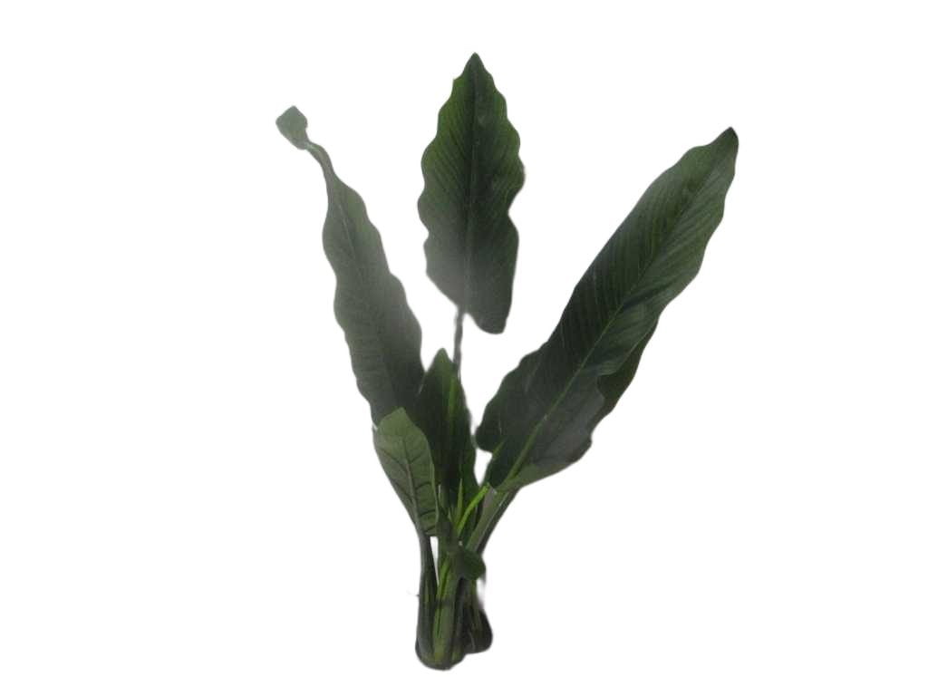 Artificial Tree,philodendron 1.2m 11l, Plastic Leaf, Pu Stem 120cm