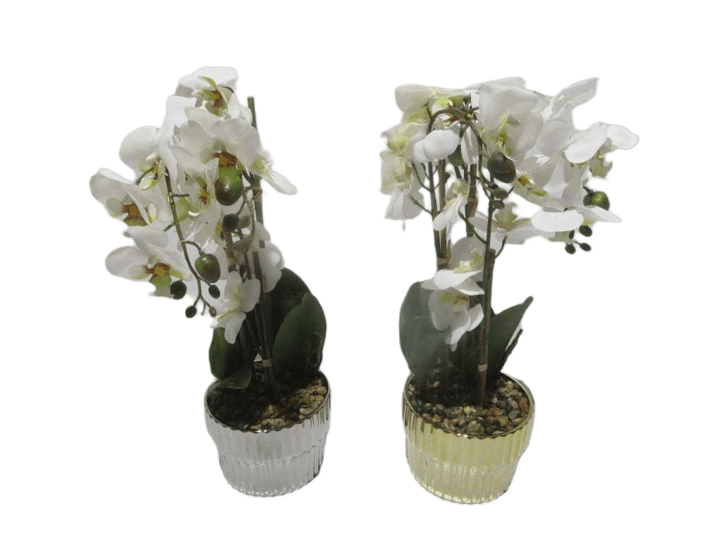 Vase Assorted White Orchid White Flower In Gold And Silver D12x10x45