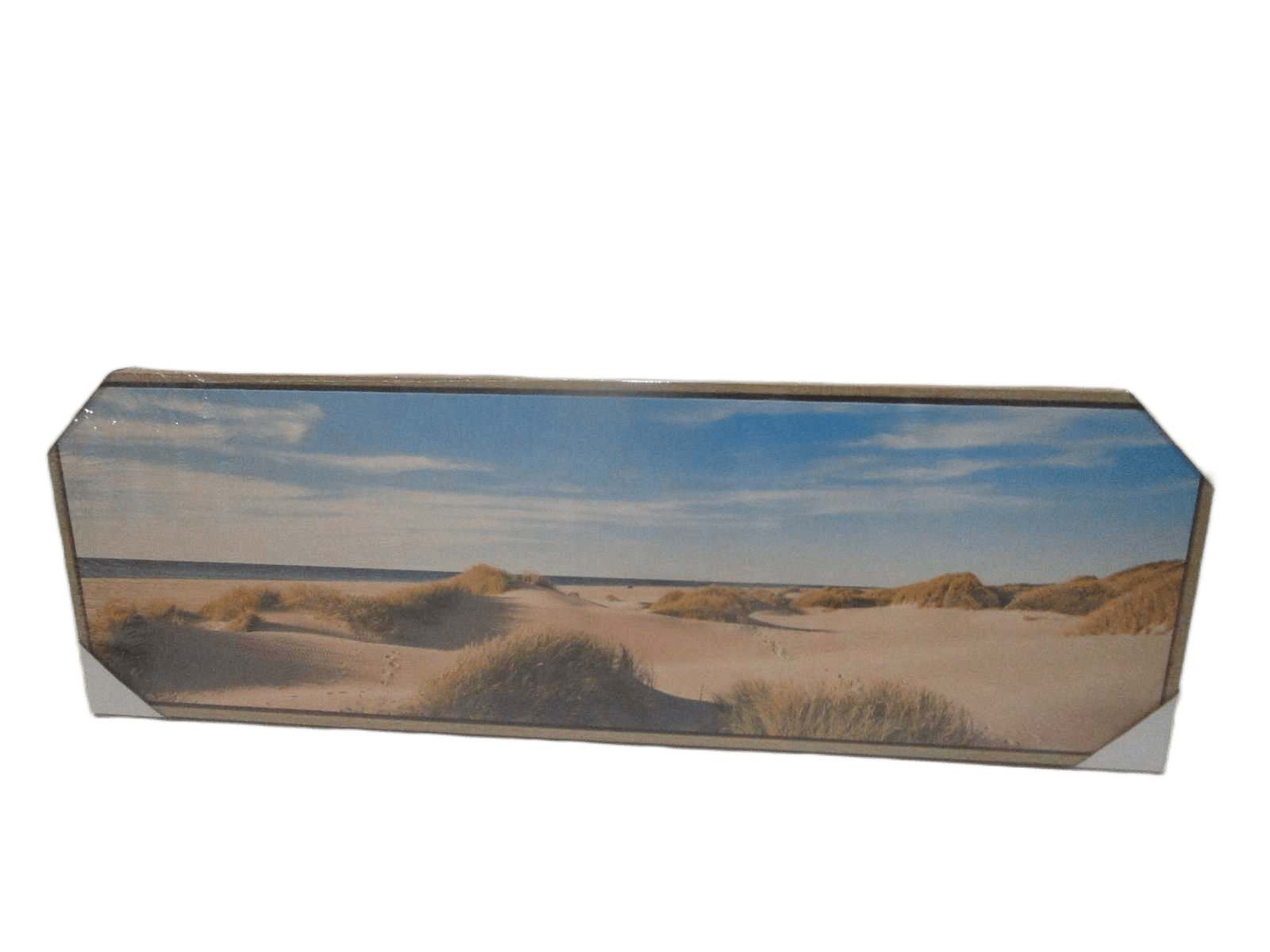 Canvas Printed With Mdf Back And Plastic Frame Paysage