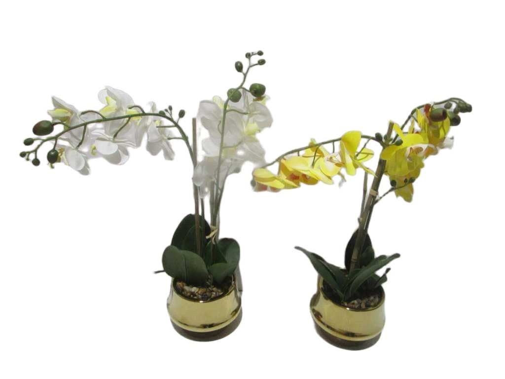 Vase Flower Orchid White And Yellow In Gold White&yellow D16x12x45