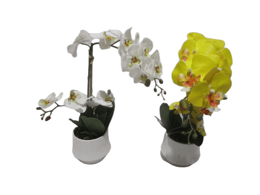 Vase White&yellow Orchid Flower White And Yellow Assorted In White D14x12x56