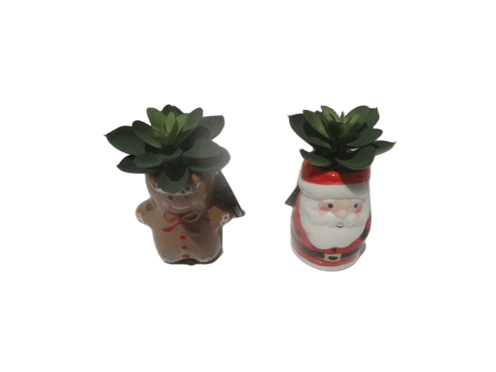 Xmas Plat Pot H11 2ass