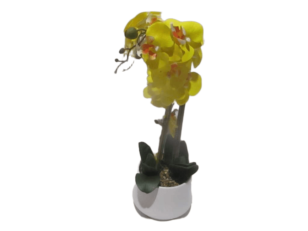 Vase Yellow Orchid Flower Yellow In White D18x15x56