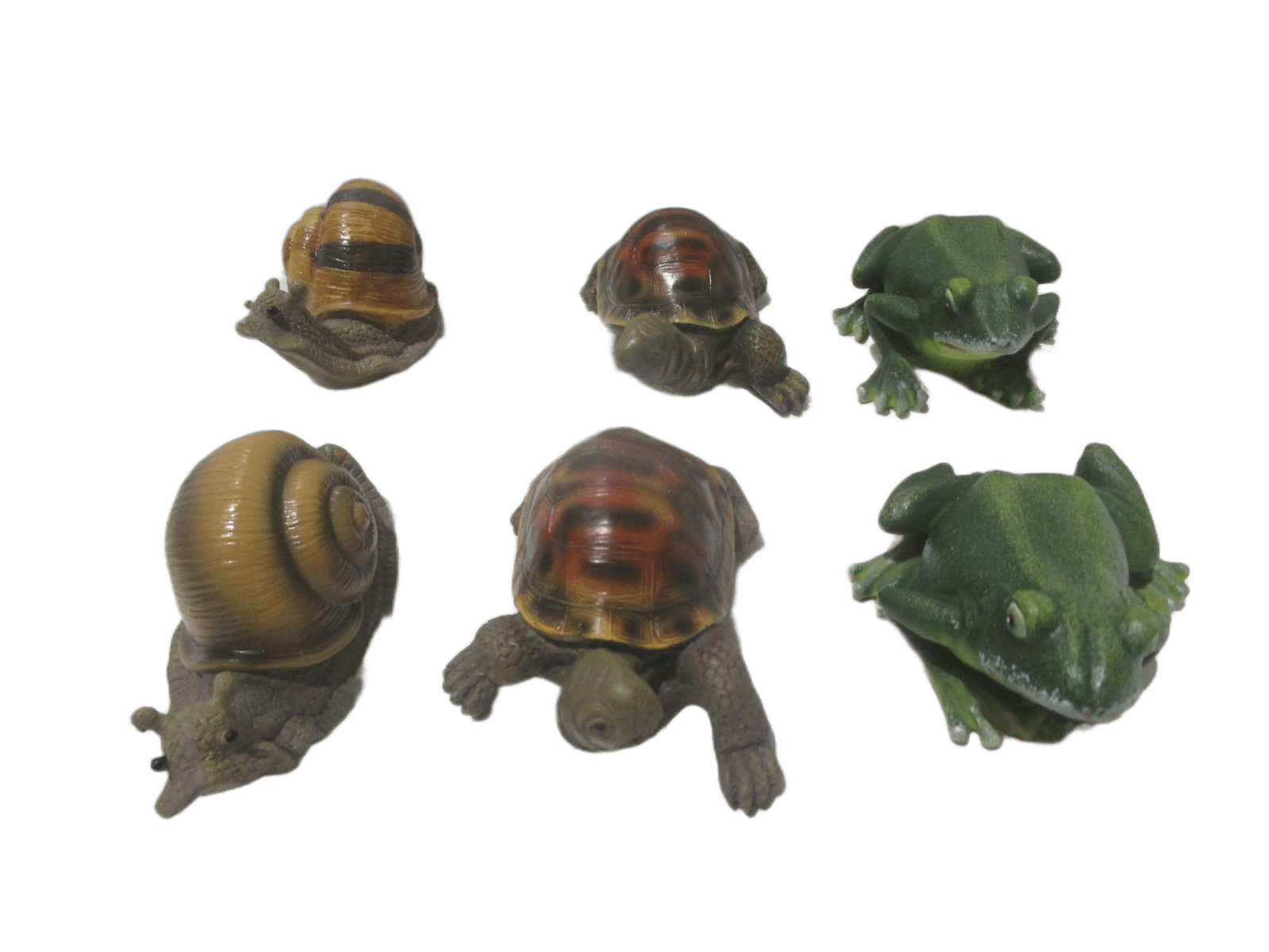 Turtle Frog Snail 6ass