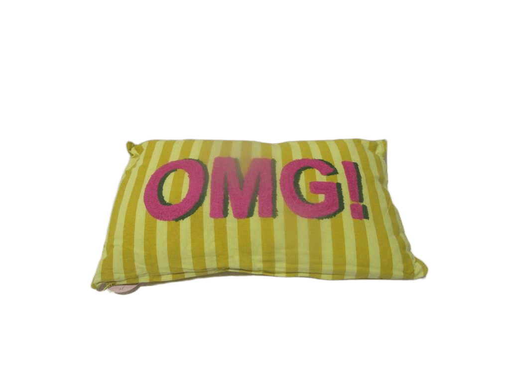 Cushion 100% Cotton 160 Gsm Printed Stiped Pattern With Filling 300 Gr With Embroidery Vacuum Packed