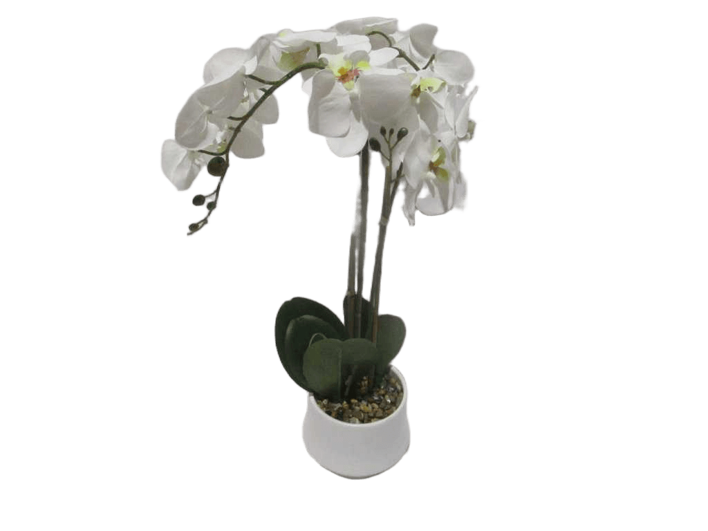Vase Orchid Whited14x12x56