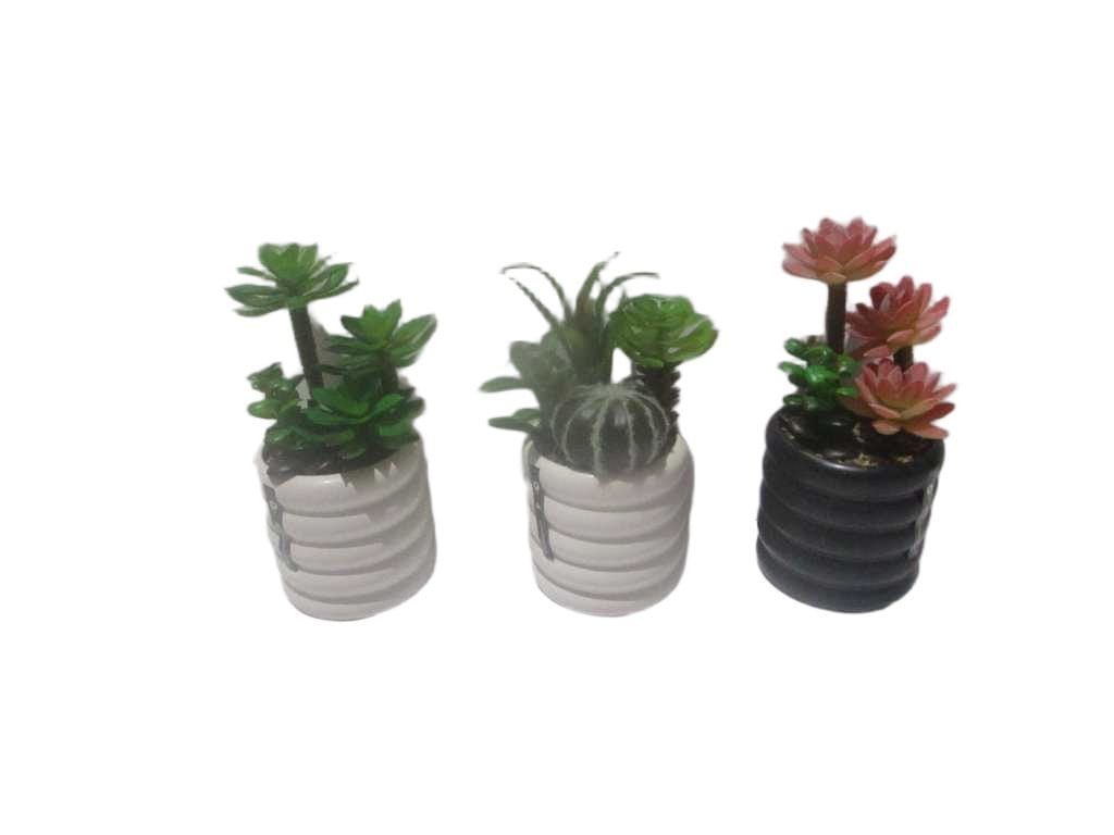 Pot Ceramic Succulent, W 3 Assorted 3 Assorted H18cm
