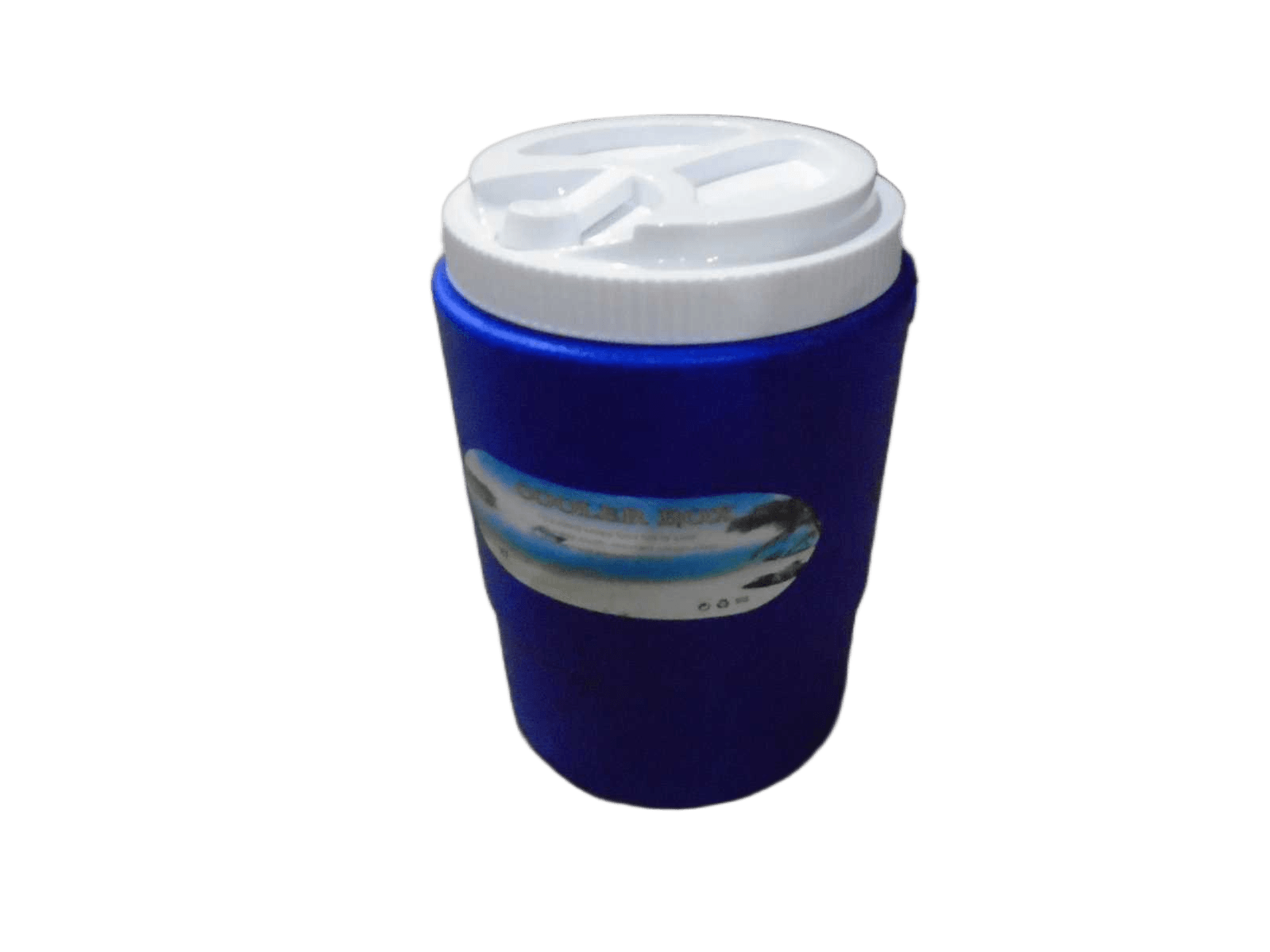 Cooler Box Blue 23*33