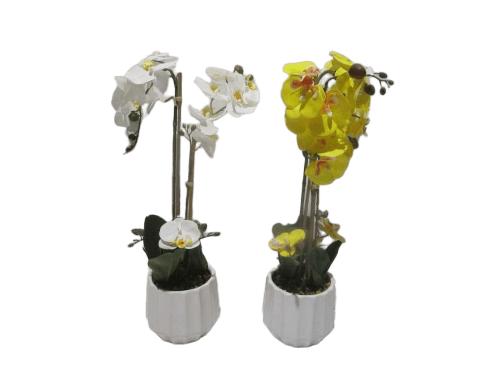 Vase White&yellow Orchid Flower White And Yellowassorted In White D14x12x57