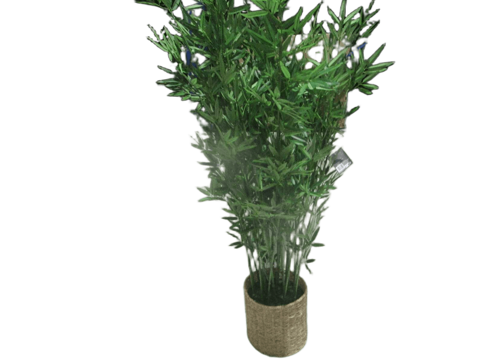 Artif Bambou Nat Pot Ly H150