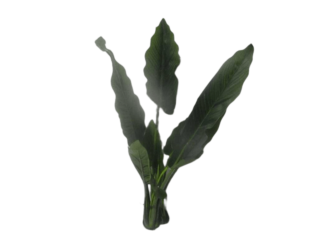 Artificial Tree,philodendron 1.2m 11l, Plastic Leaf, Pu Stem 120cm