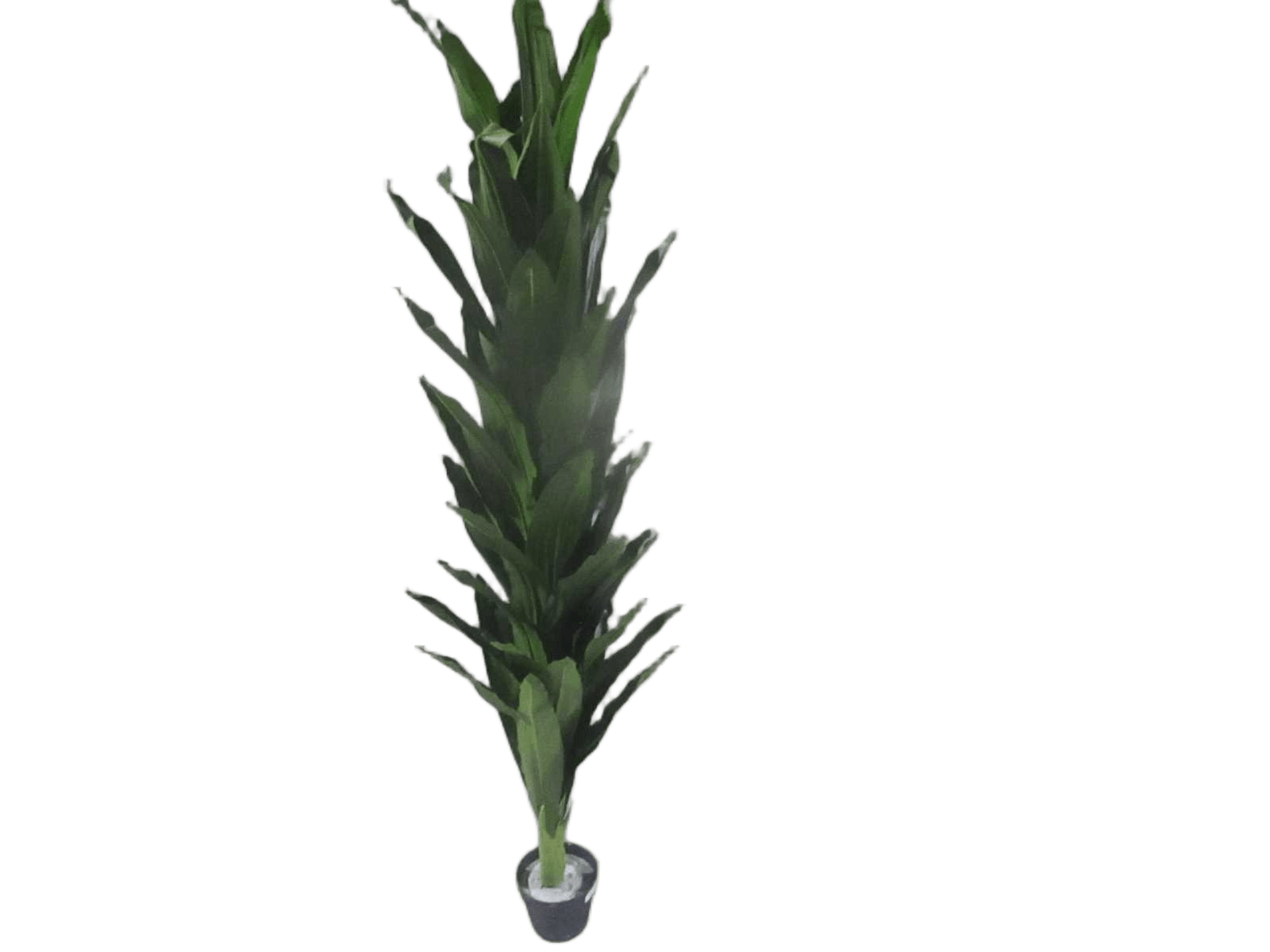 Artificial Plant 1.65m 50 Feuilles W Pot Packing: Opp Bag
