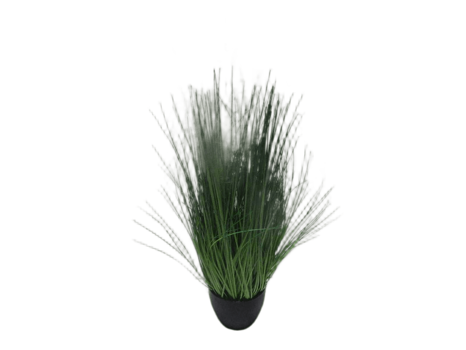 Grass Bunch Plast Pot H70