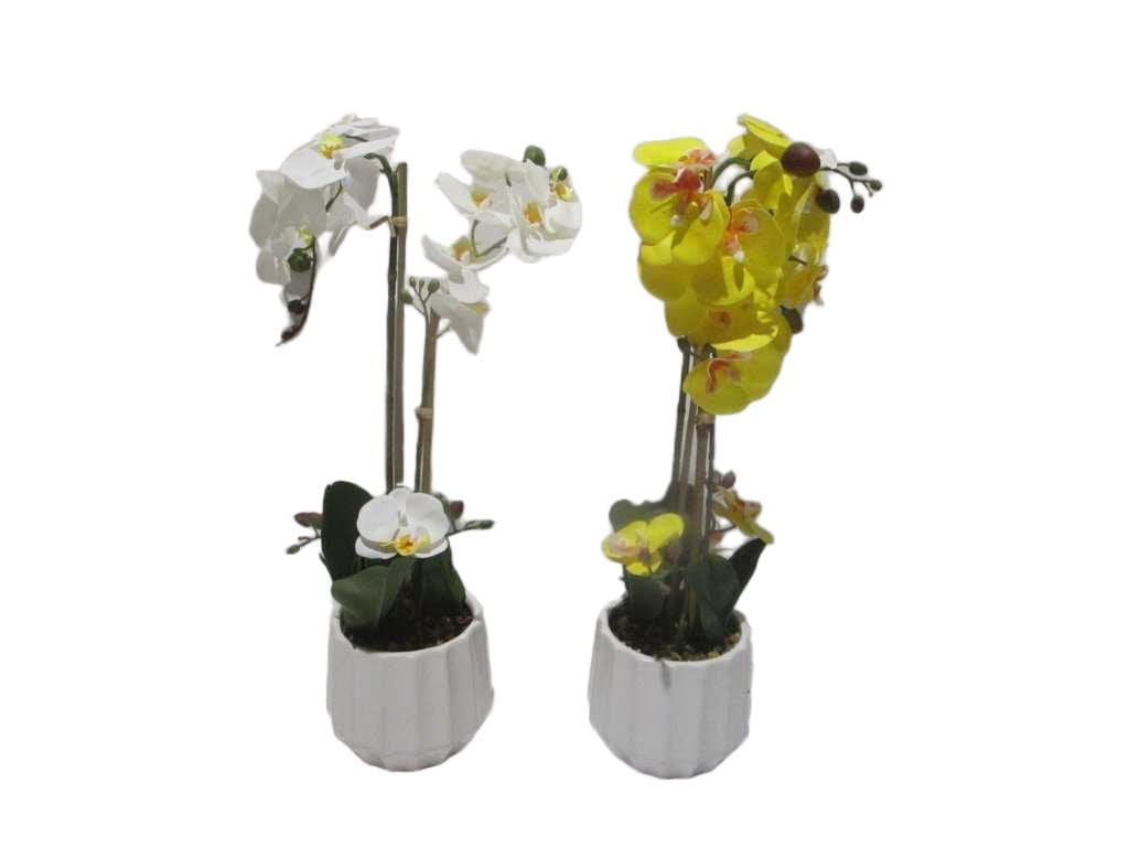 Vase White&yellow Orchid Flower White And Yellowassorted In White D14x12x57