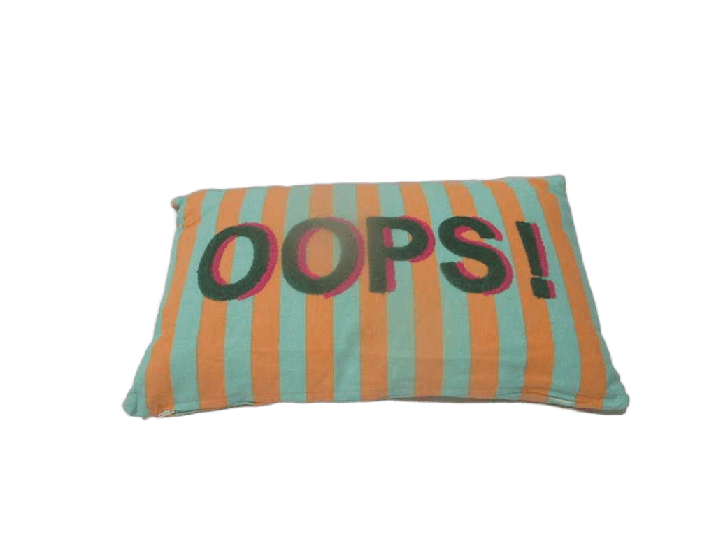 Cushion 100% Cotton 160 Gsm Printed Stiped Pattern With Filling 300 Gr With Embroidery Vacuum Packed