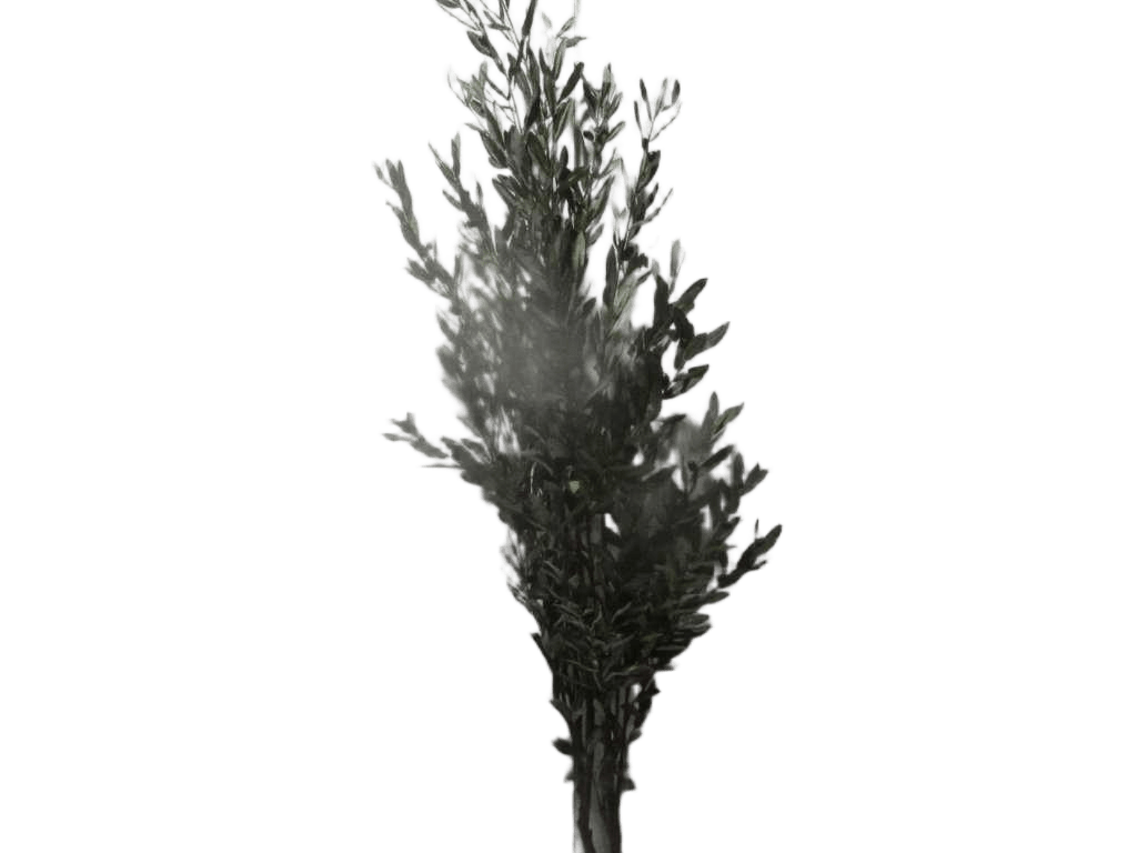 Artificial Tree,olive Polyester Leaf+pu Stem 1142l Grey Green 190cm