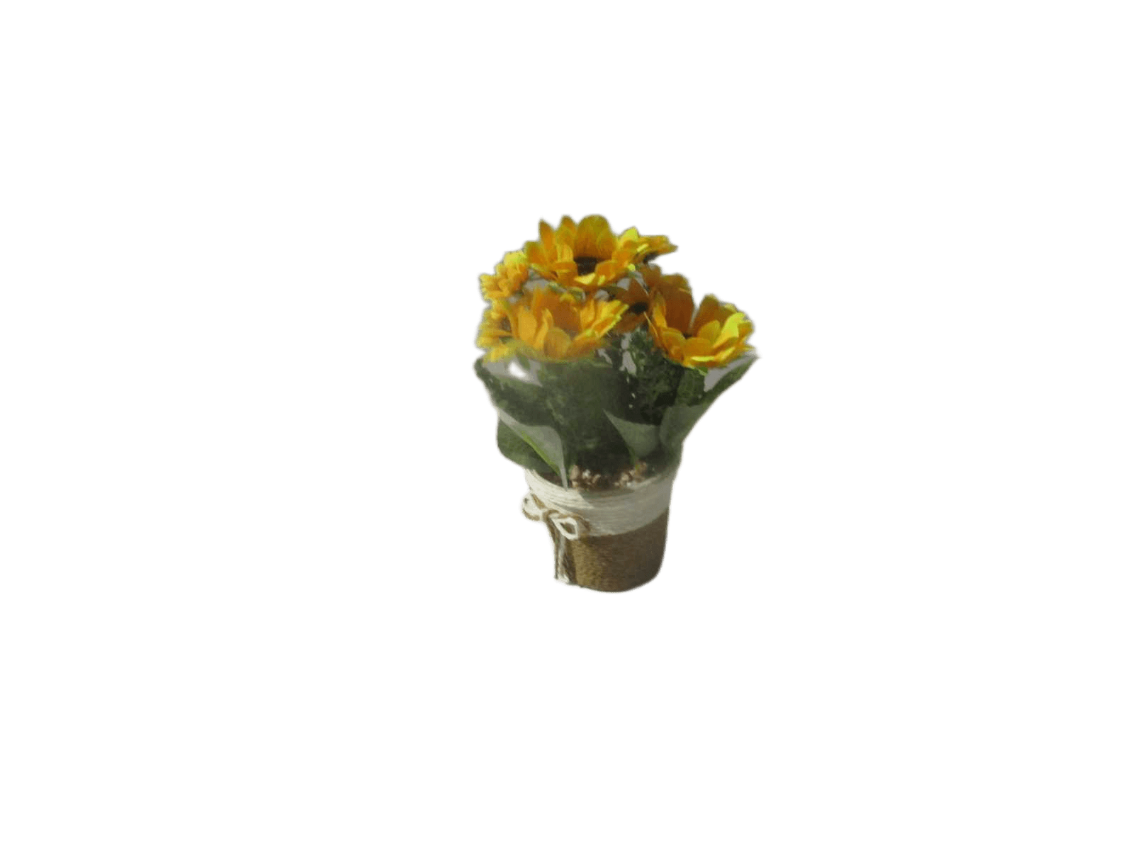 Artificial Plant With Paper Rope Pot Packing: Paper Boxas Photo 20cm