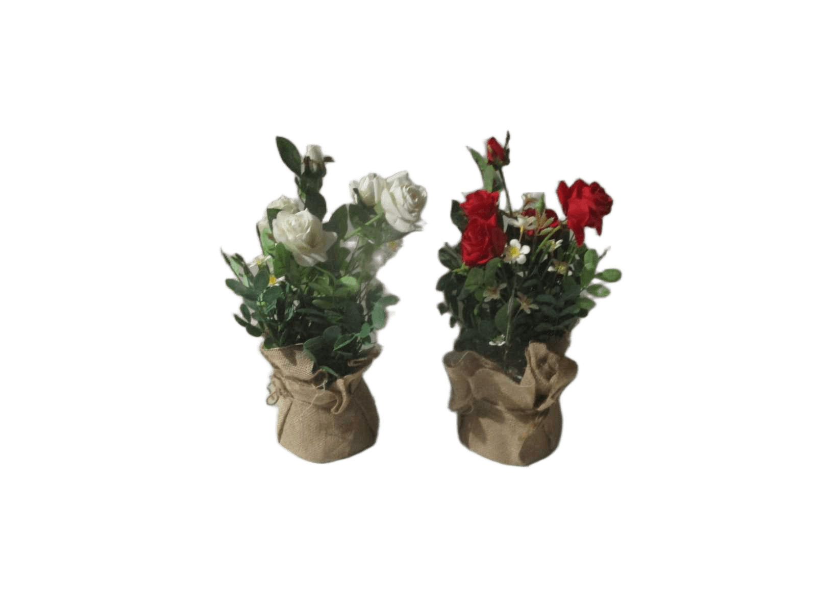 Artificial Plant With Transparent Plastic Pot 2 Type Ass Packing: Paper Box2 Type Ass Red/White 42cm