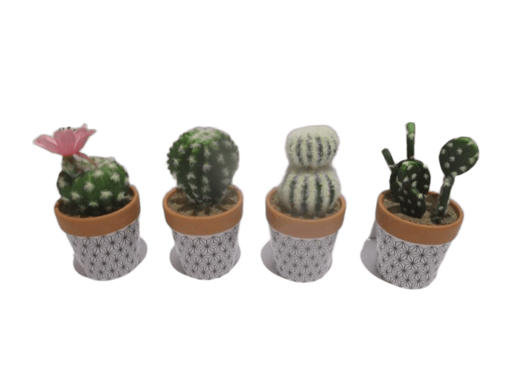 Artificial Flower 15cm Potted Succulent 4 Ass. Ch06715408 -3pcs, Ch06715839 -3pcs, Ch06715412 -3pcs, Ch06715417 -3pcs 68*51*36cm