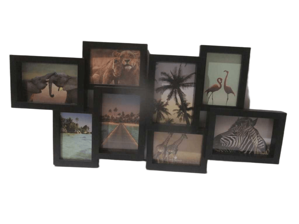 Frame 8 Plastic Photos Cali