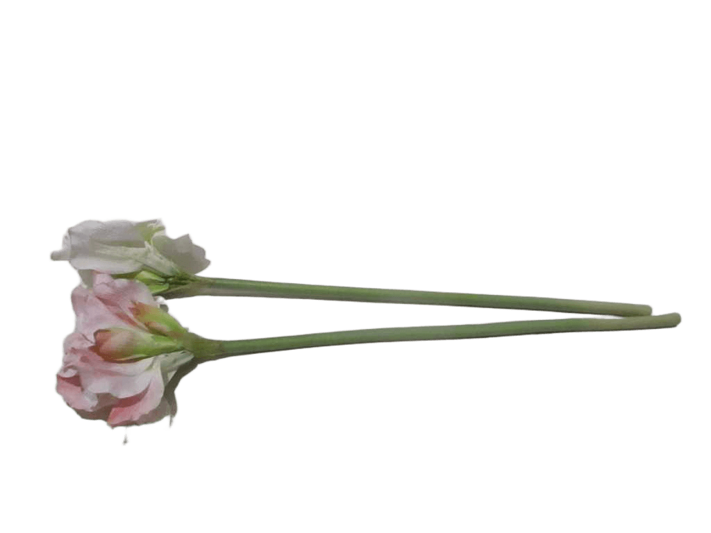Artificial Flower Clivia 98cm Single 2 Ass. White 09/Gw-3pcs Pink 13/Pkg-3pcs 124*37*56cm