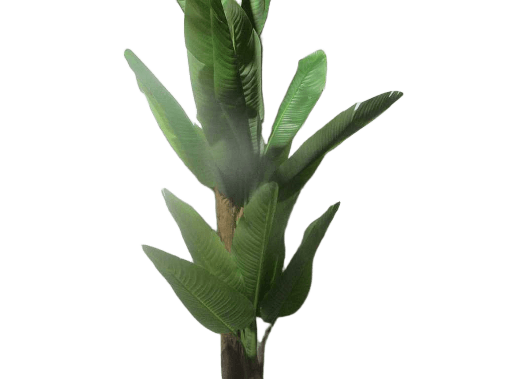 Artificial Tree,banana 18l Plastic Leaf, Pu Stem 310cm
