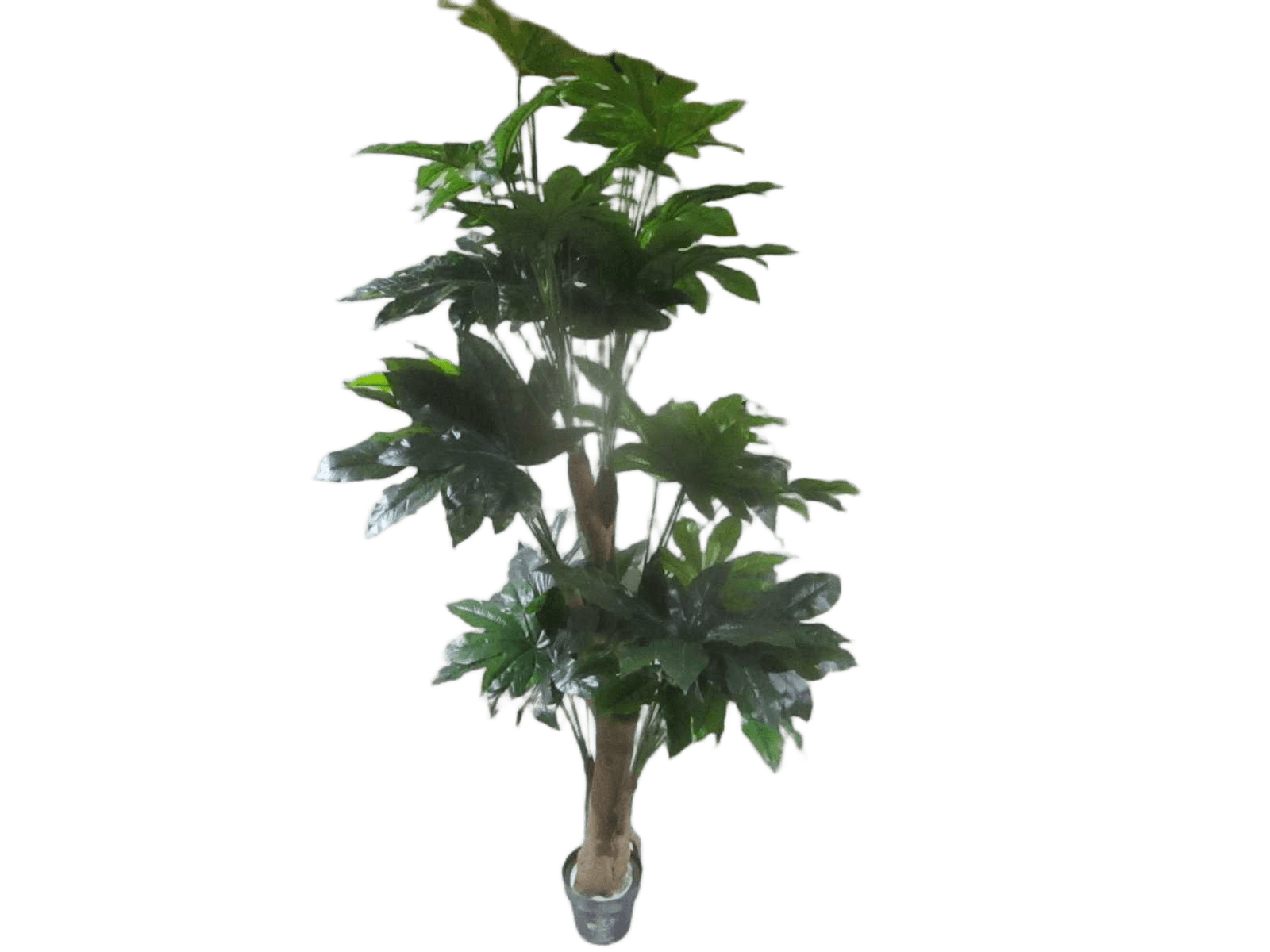 Artificial Plant 2m With Flower Pot 6branches 59leaves Fabric Leaves+plastic Branches+steelgreen