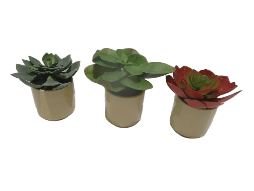 Artificial Flower 15cm Echeveria In Ceramic Pot(Pot Size:d10.8 X H8.8cm) 3 Ass. 80.5*63.5*34cm