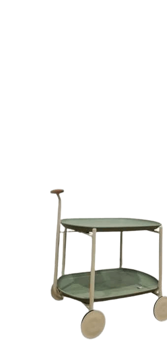 Trolley 2 Level Wood Handle Pp+iron 5kg Green 43.5x37.5x68