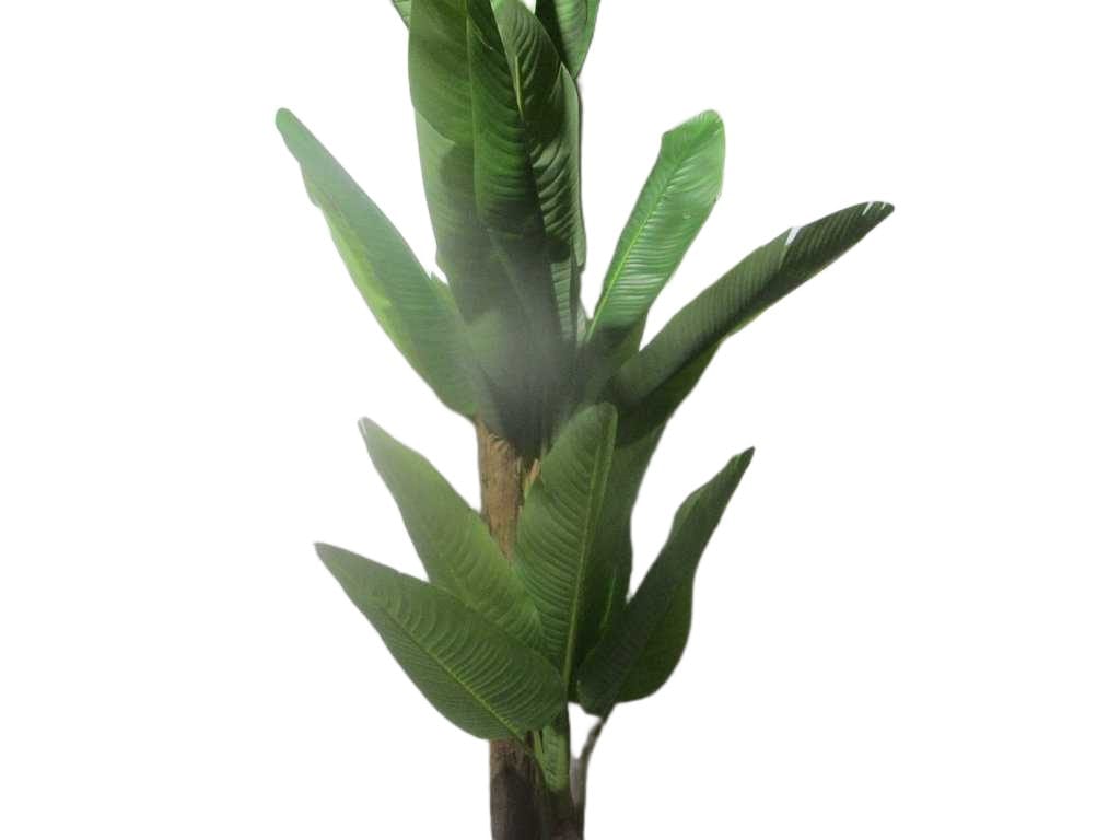 Artificial Tree,banana 18l Plastic Leaf, Pu Stem 310cm