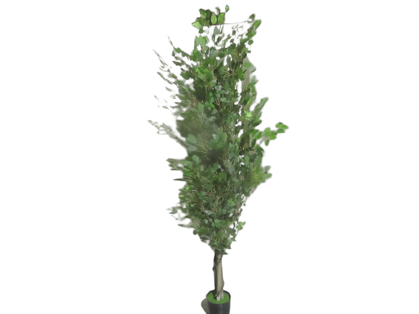 Artificial Banyan 2m With Flower Pot 3 Pole 48 Branches Green 200cm