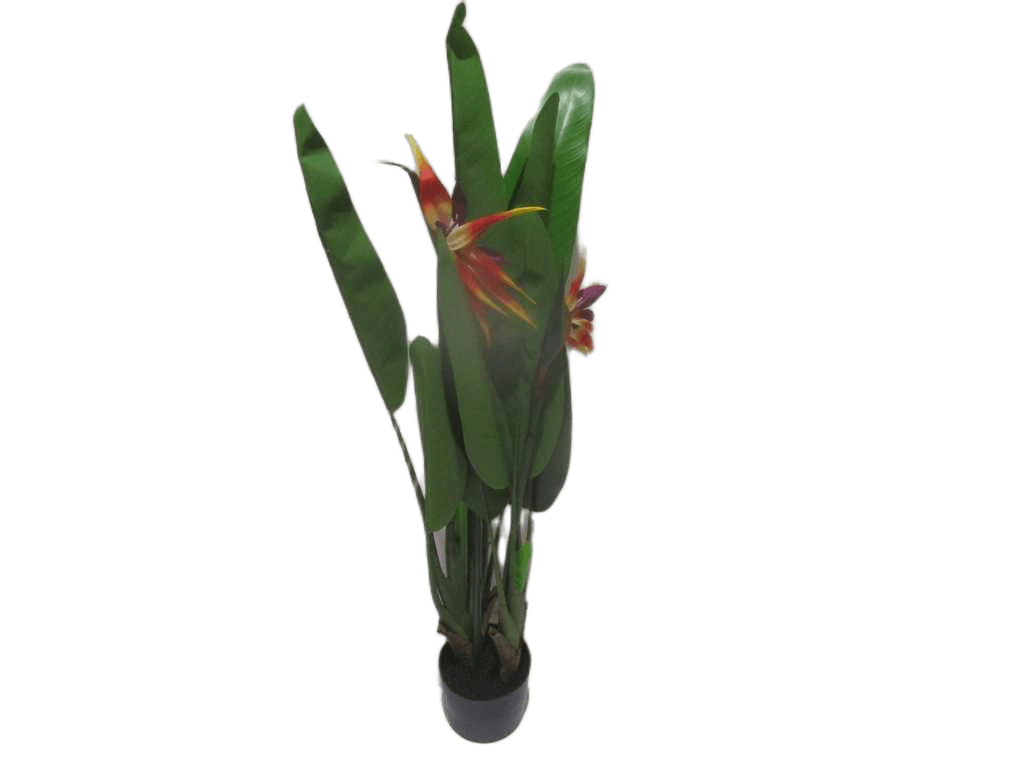 Artificial Flower 100cm Real Touch Strelitzia Tree,10 Lvs & 2 Flowers In Pot 115*46*17cm