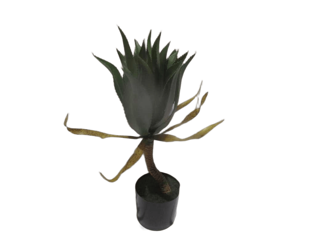 Artificial Flower 71cm Agave In Plastic Pot(Pot Size:d170 X H146mm) 78*37*23cm