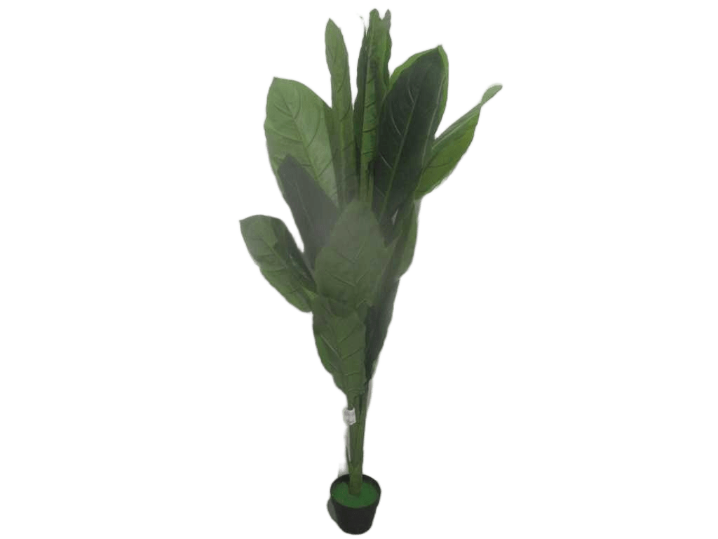 Artificial Plant 1.6m W Pot Packing: Opp Bag 1.6m
