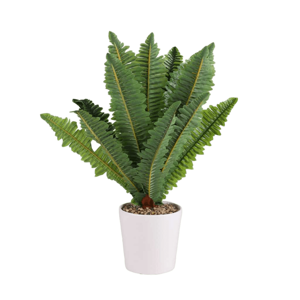 Artificial Succulent Natural Living In White Ceramic Pot Diam 13cm