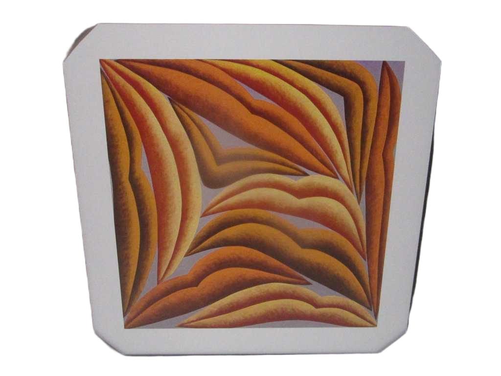 Painting 3d-Print Alu Frame+veneer 100*100