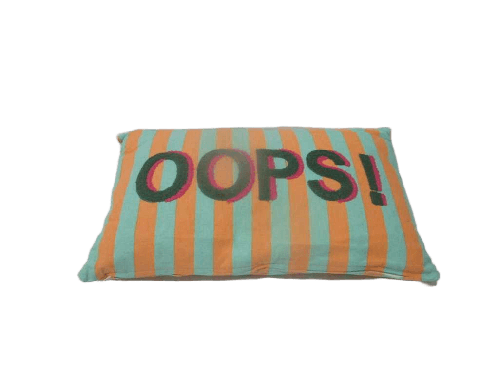 Cushion 100% Cotton 160 Gsm Printed Stiped Pattern With Filling 300 Gr With Embroidery Vacuum Packed