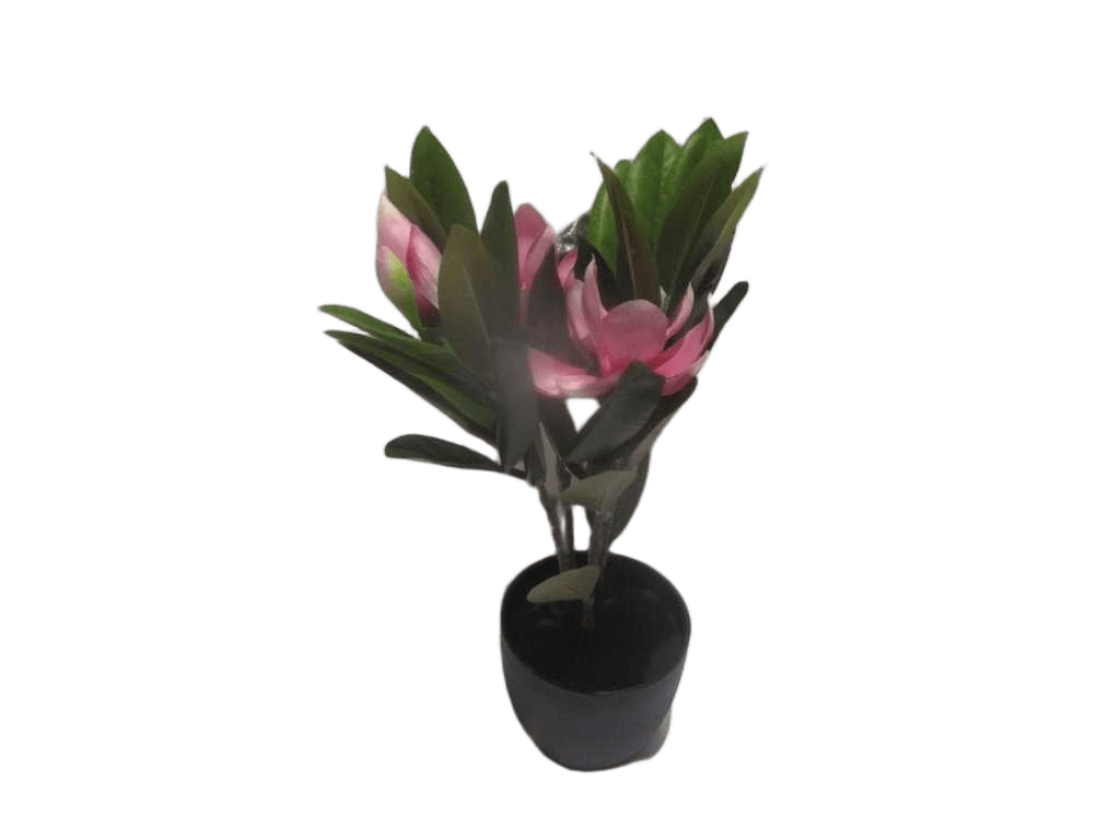 Artificial Flower Lily Magnolia Potted X 3 Flrs,w/307 2 Ass. : Pink Pk032-2pcs White Wt016-2pcs 65*31*91cm