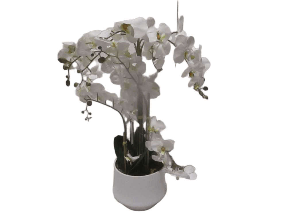 Vase White Orchid White Flower In Whited24x20x77