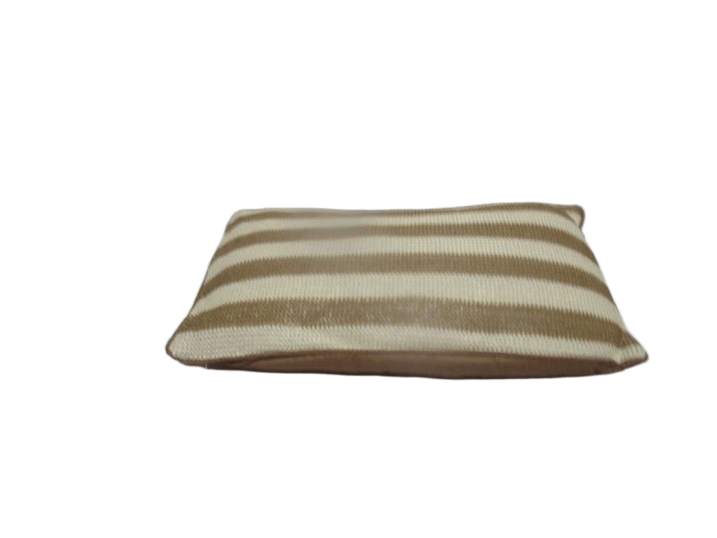 Cushion Outdoor Anti-Uv Double Face Recto-Verso Filling 280g Vacuum Pack Beige 30*50