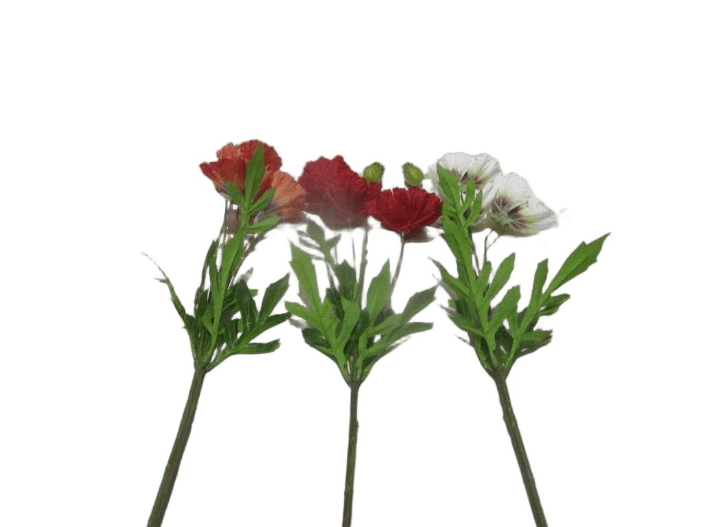 Artificial Flower Poppy 69cm 3 Flowers & 1 Bud 4 Ass. Orange 09/Dor Red 08/Red White 01/Prwh Pink 06/Pkw 96*45*57cm