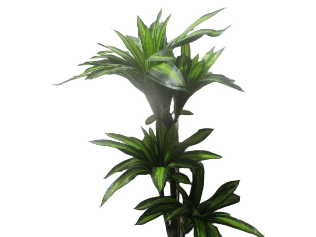 Artificial Plant Dracaena 140 Leaves Pe Plastic Pot Moq:100pcs ' '170cm