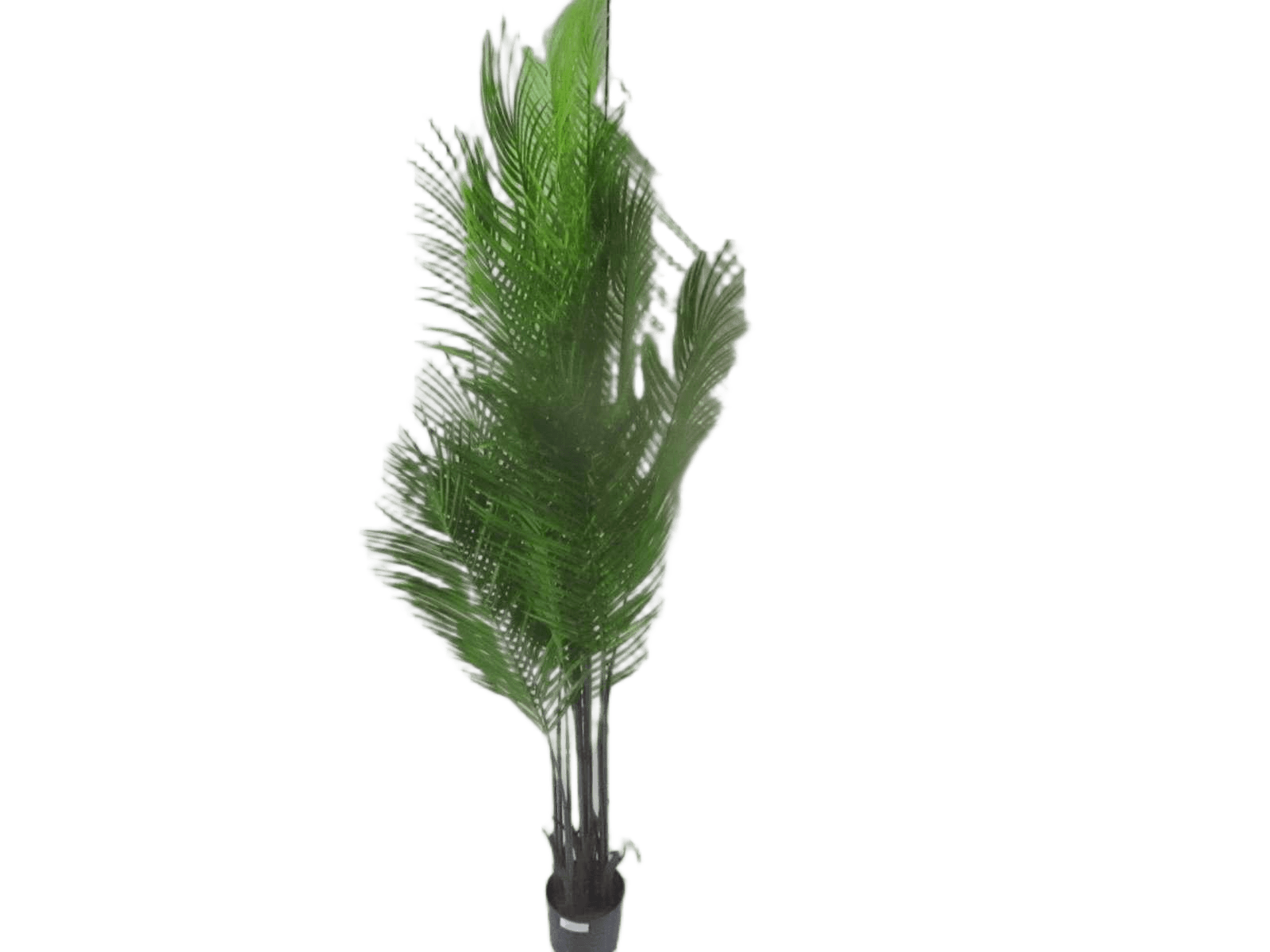 Artificial Plant 1.6m 15 Feuilles W Pot Packing: Opp Bag