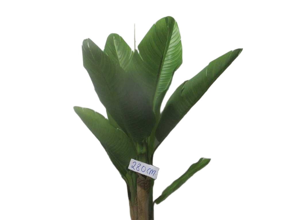 Artificial Tree,banana 24l Wood Stem, Outside Nature Tree Banana Skin, Plastic Leaf 280cm