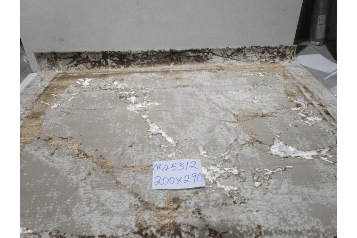 Carpet Brown 24261 256.000 Points 10mm Pile Height 1,600gr/Sqm Pp Heatset (1900dtex) + Shrink + Flosh 200x290 Cm