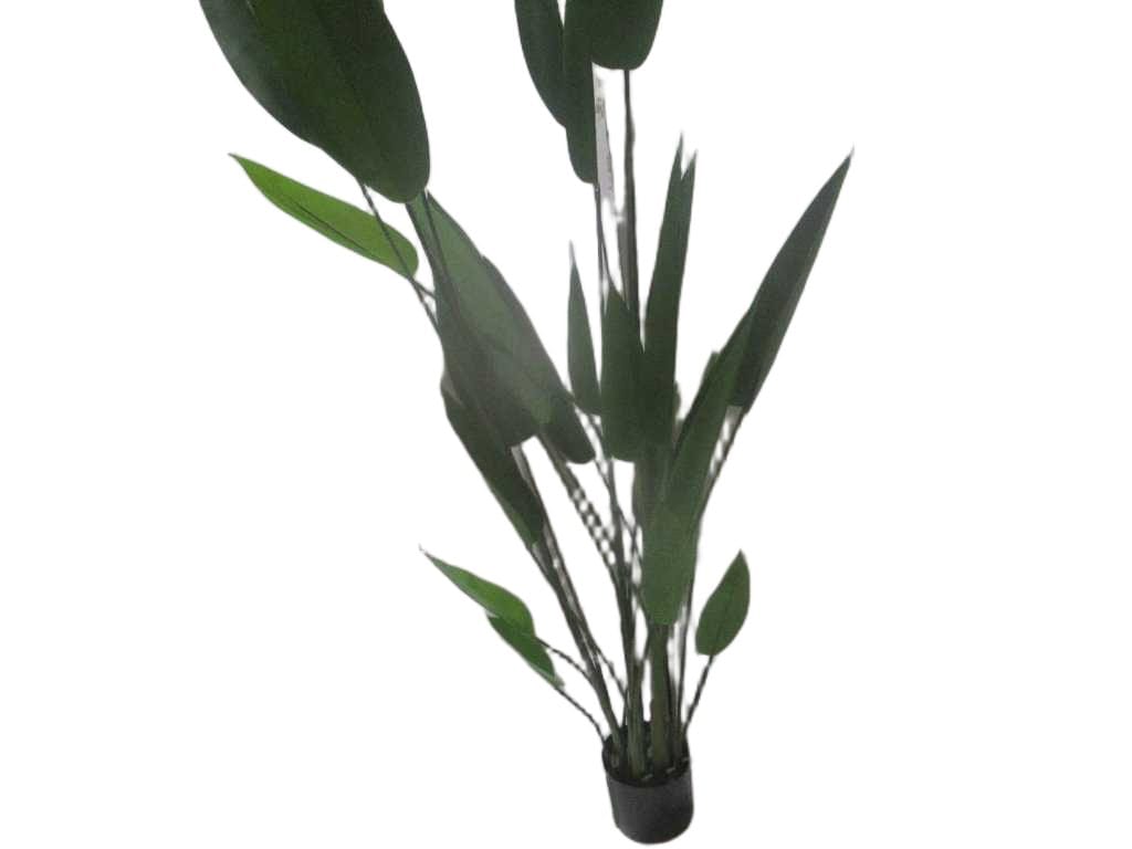 Artificial Plant Strelitzia 26 Leaves Pe Plastic Pot Moq:100pcs ' '210cm