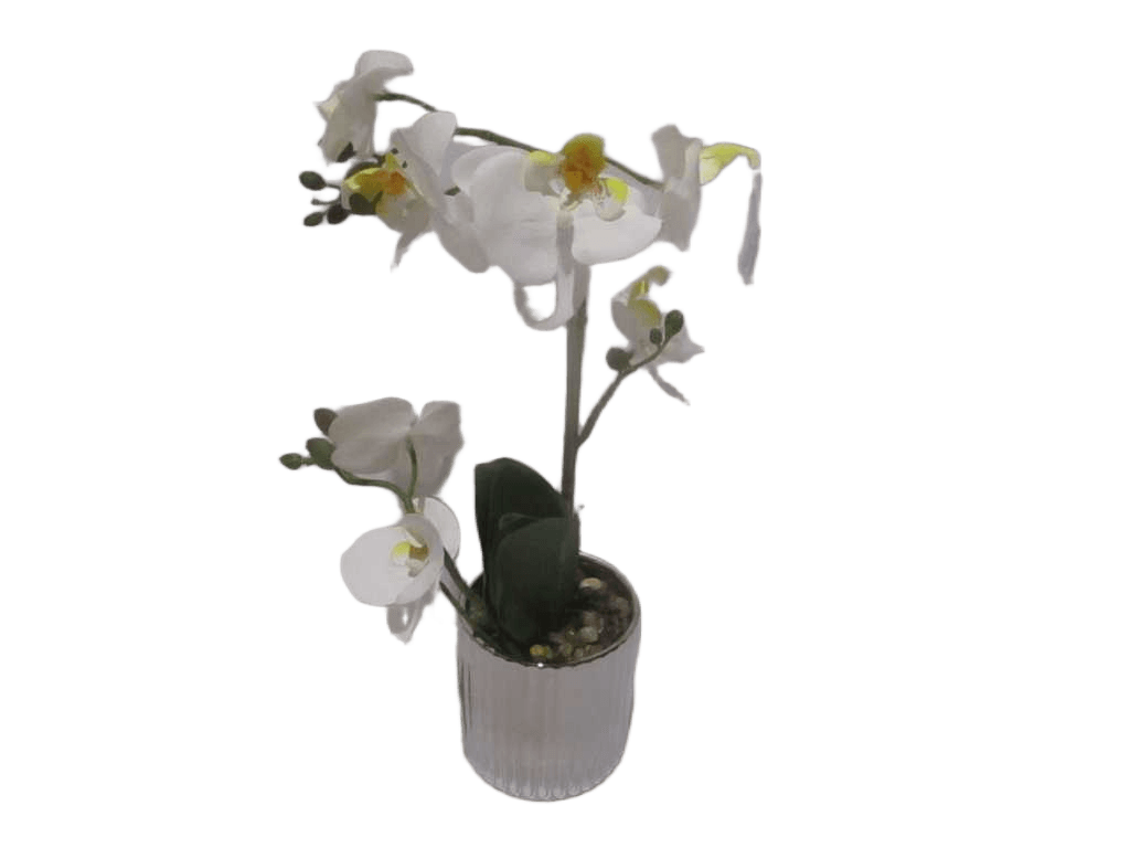 Vase Orchid White Flower Gold And Silver Vase Assorted White D10x10x34