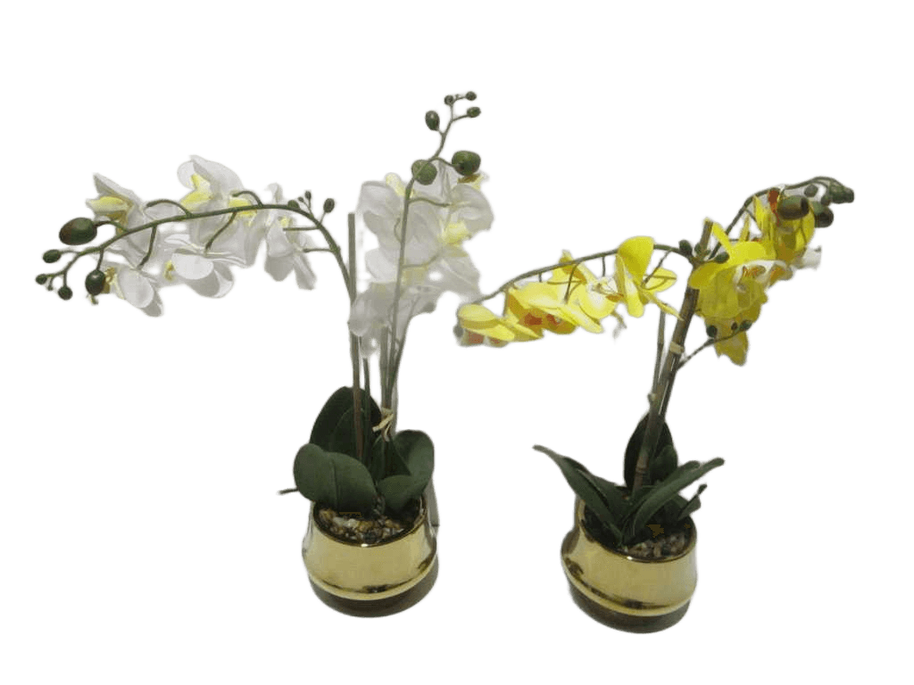 Vase Flower Orchid White And Yellow In Gold White&yellow D16x12x45