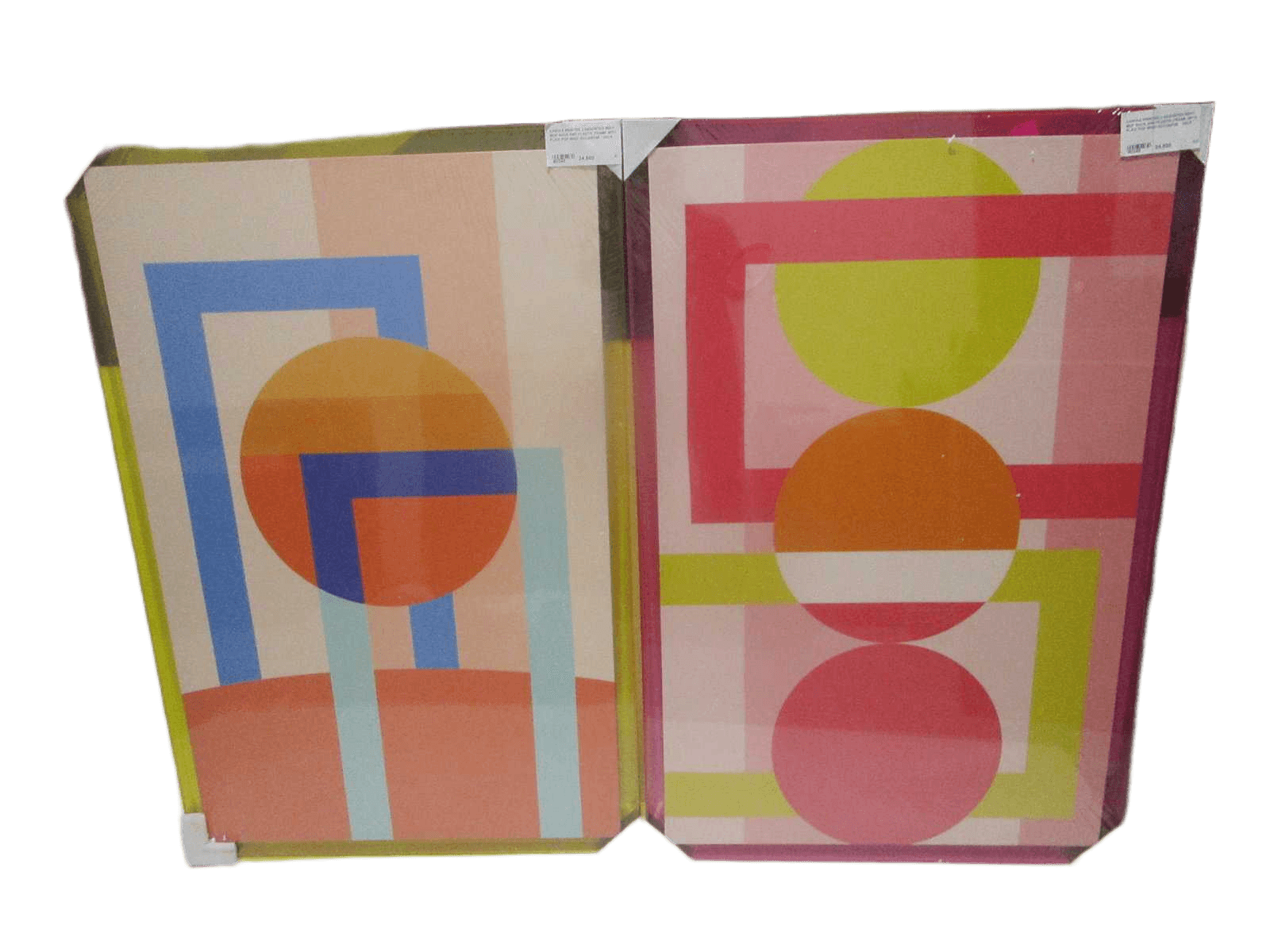 Canvas Printed 2 Assorted Wifh Mdf Back And Plastic Frame With Plexi Pop