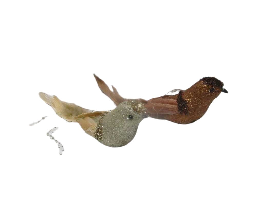 Bird Hanging Deco 34cm 2ass Cl